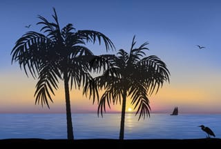 Three palm trees are silhouetted against a sunset over the ocean.