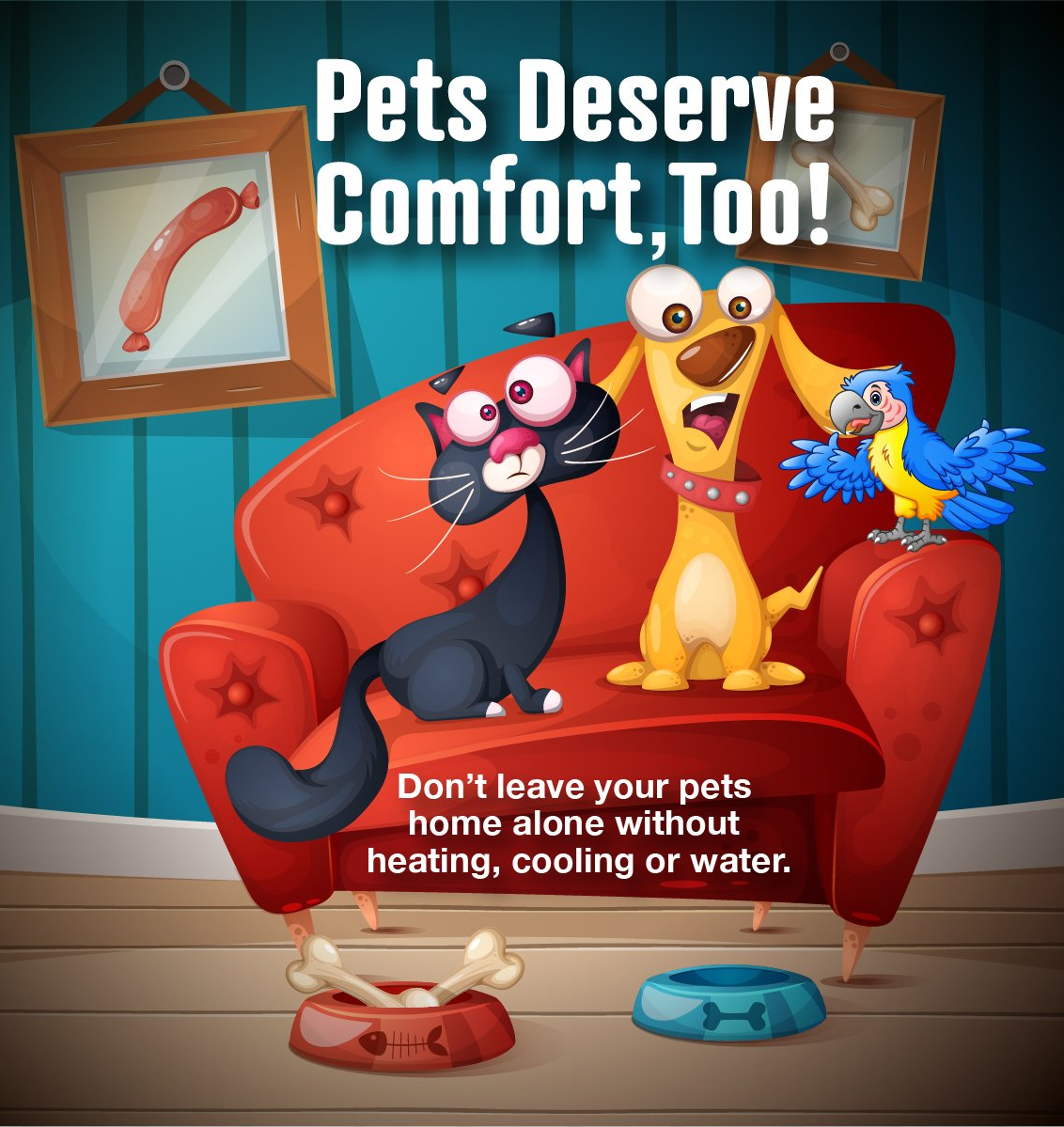 A cat and a dog are sitting on a couch with the words pets deserve comfort too