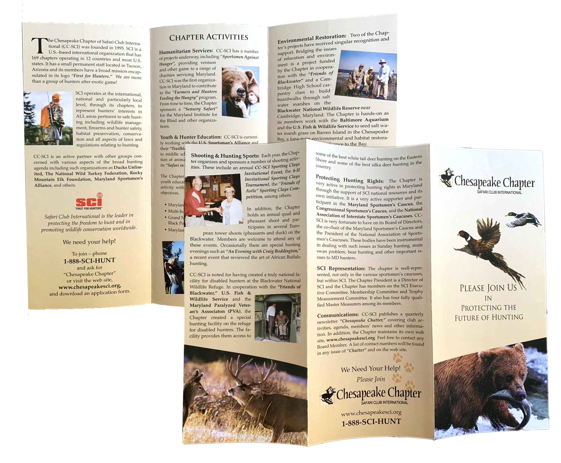 A brochure with a picture of a bear on it