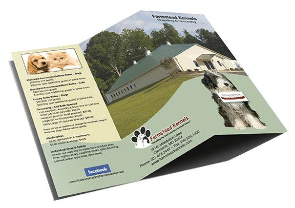 A brochure for farmstead kennels has a picture of a dog on it