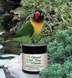 A green and yellow bird is sitting on top of a jar.