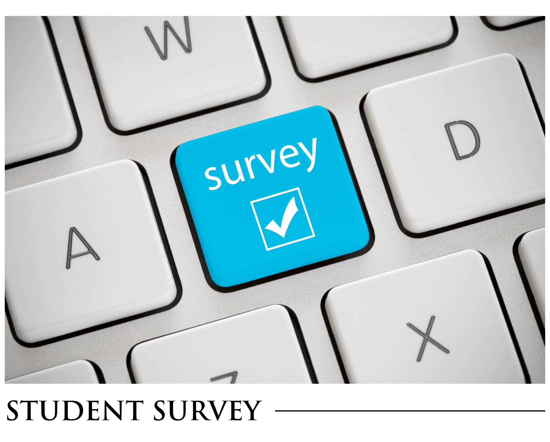 A computer keyboard with a blue button that says survey