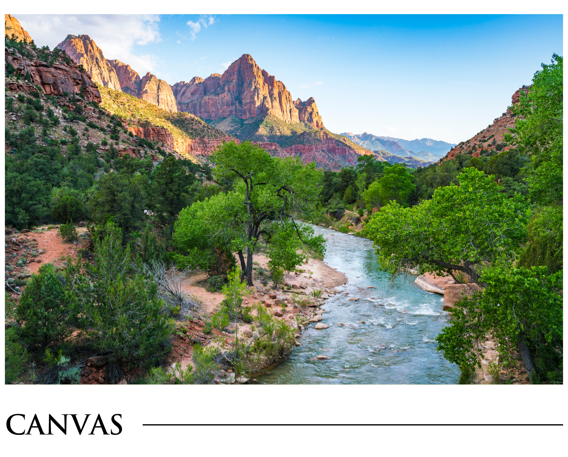 A river flowing through a lush green forest with mountains in the background.