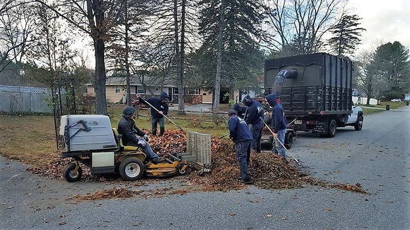 Photo of landscapers cleaning fall leaves from a yard.