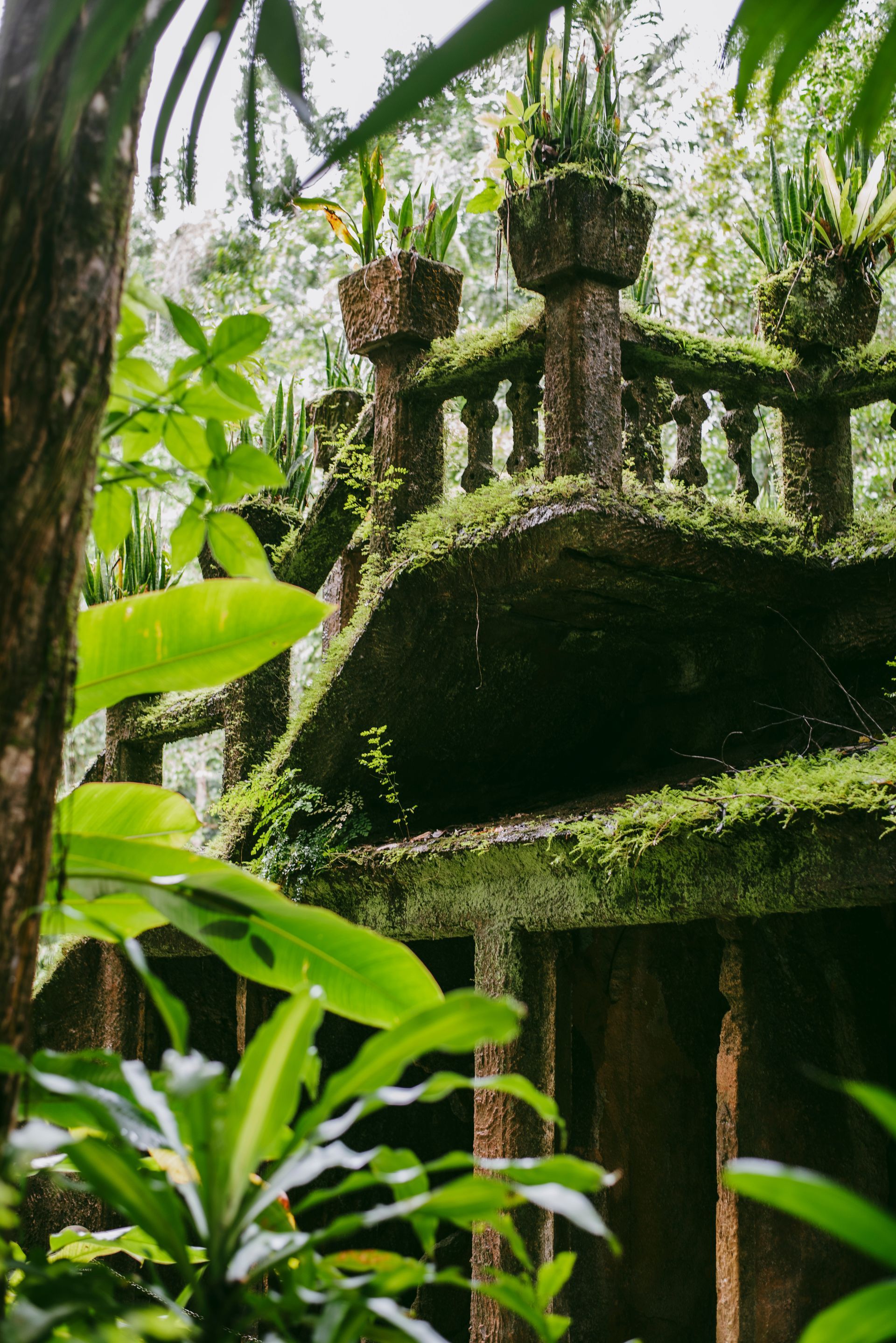 Close up of the ruins at Paronella Park, Far North Queensland
