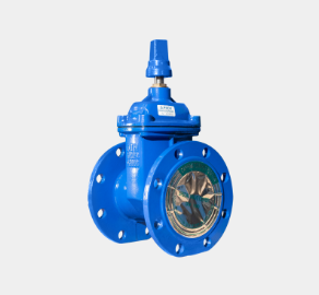 Registro Gaveta Chato com Flanges
