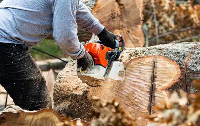 Person using a chainsaw to cut a log, wood chips flying.