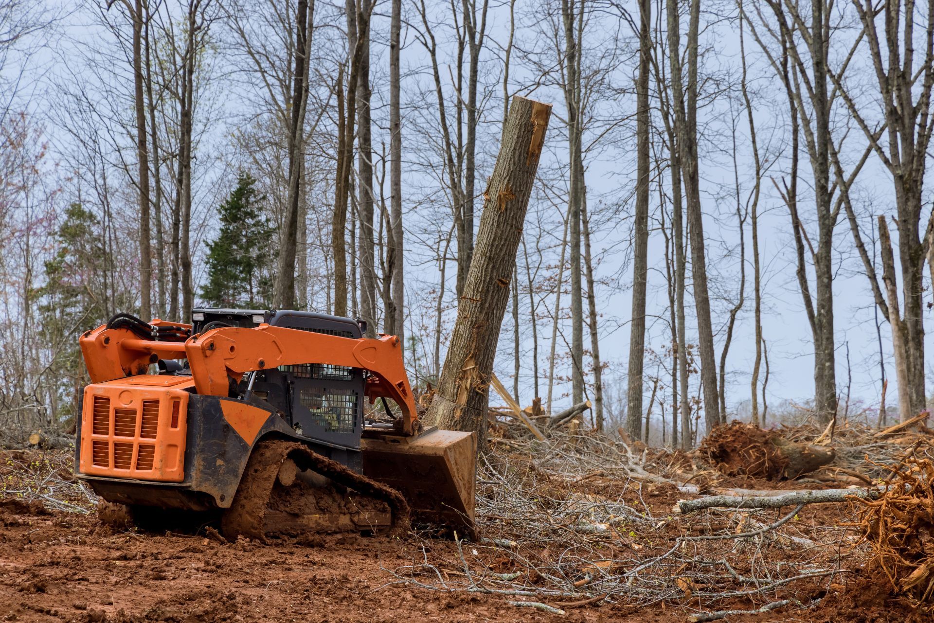 Orange skid steer clearing trees in a muddy forest clearing.