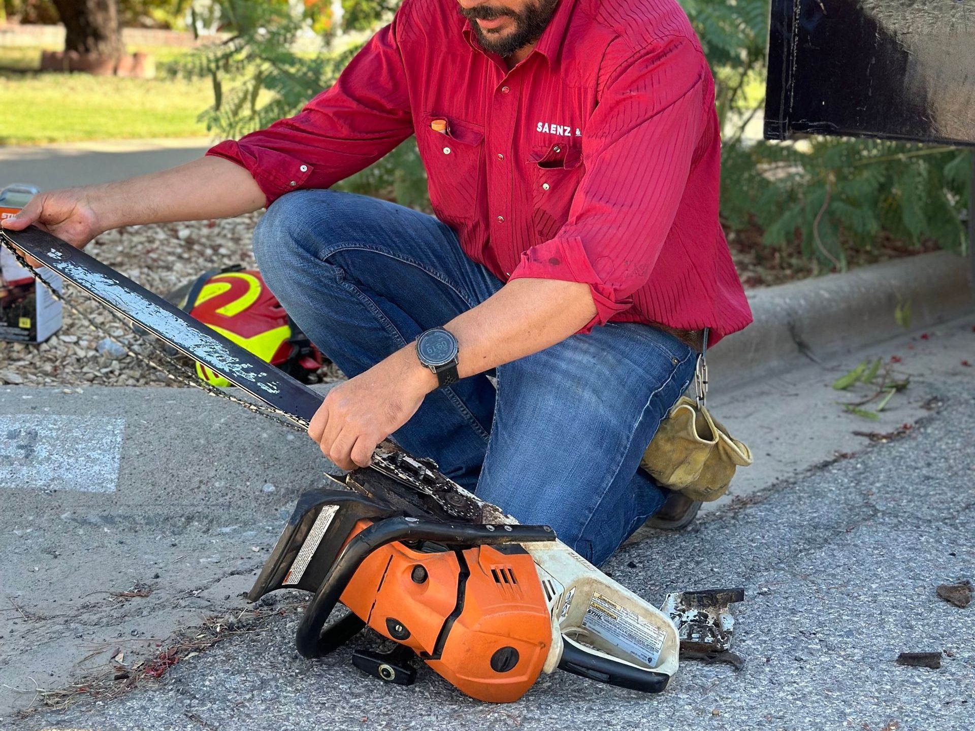 Professional arborist using a chainsaw for safe tree removal