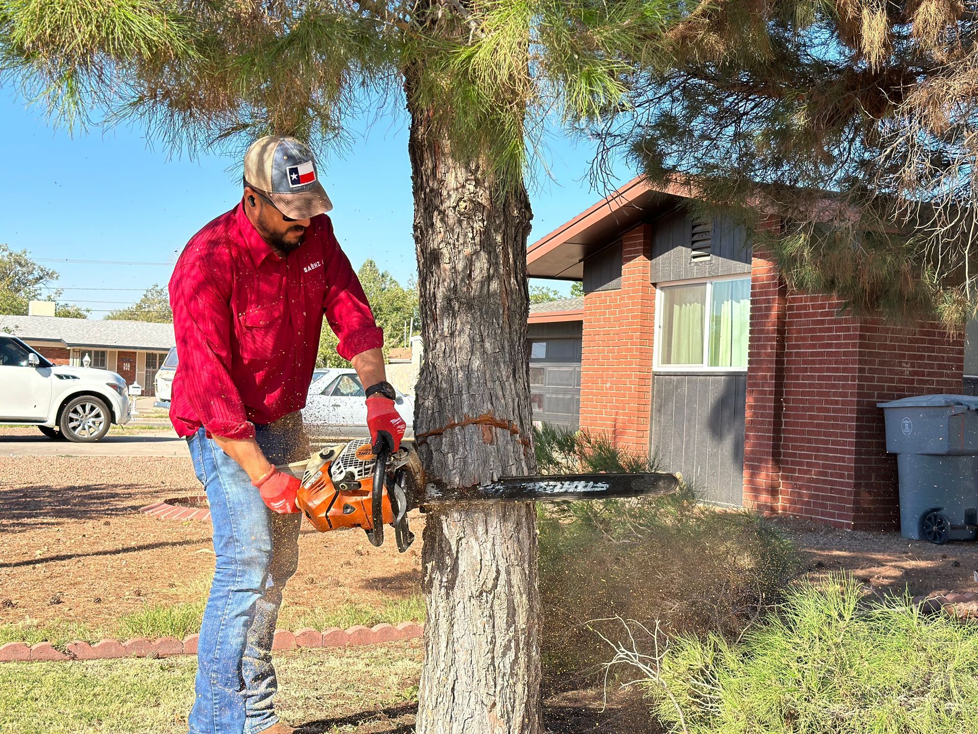 A man is cutting a tree with a chainsaw.