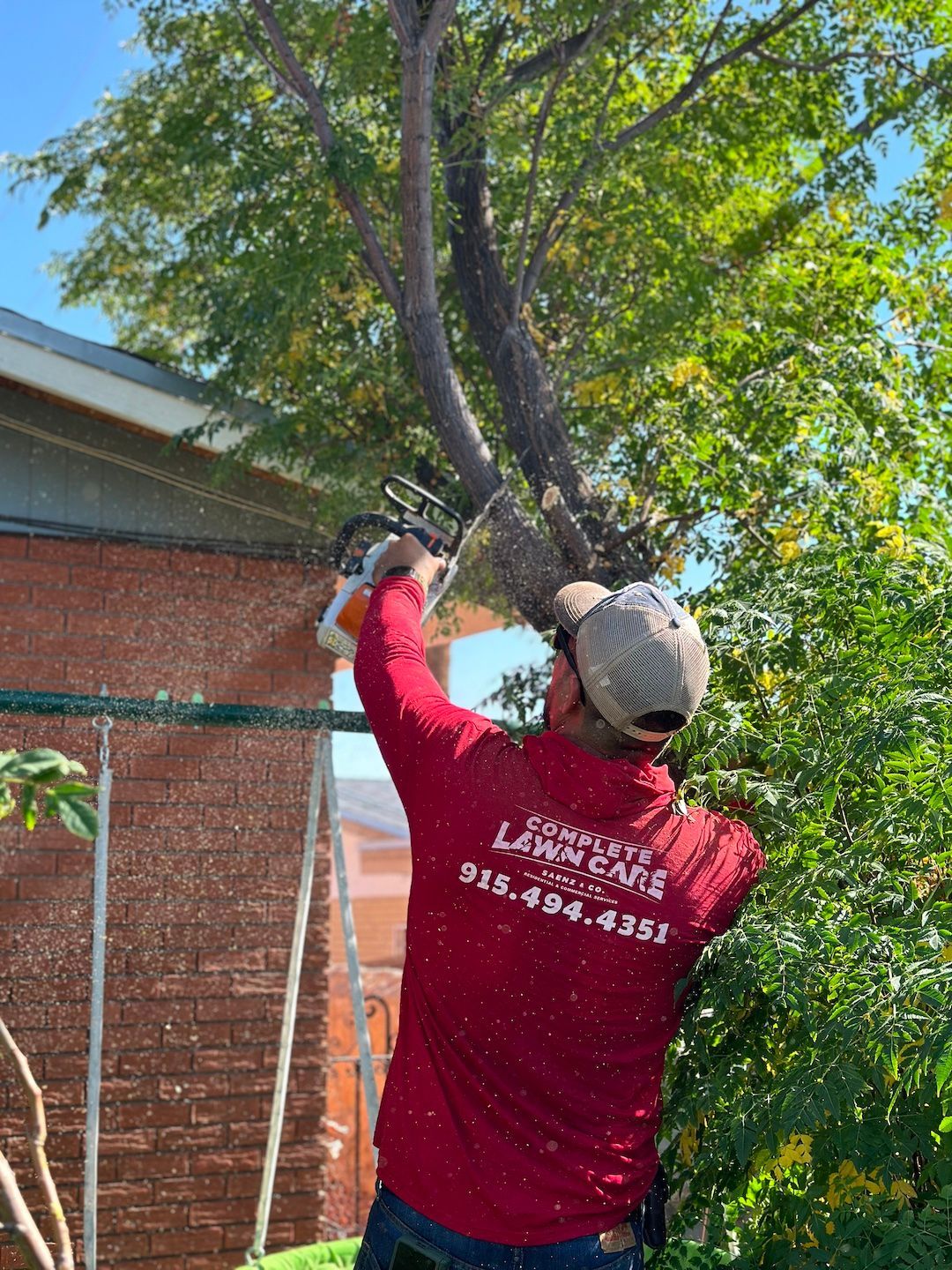 A man is cutting a tree with a chainsaw.