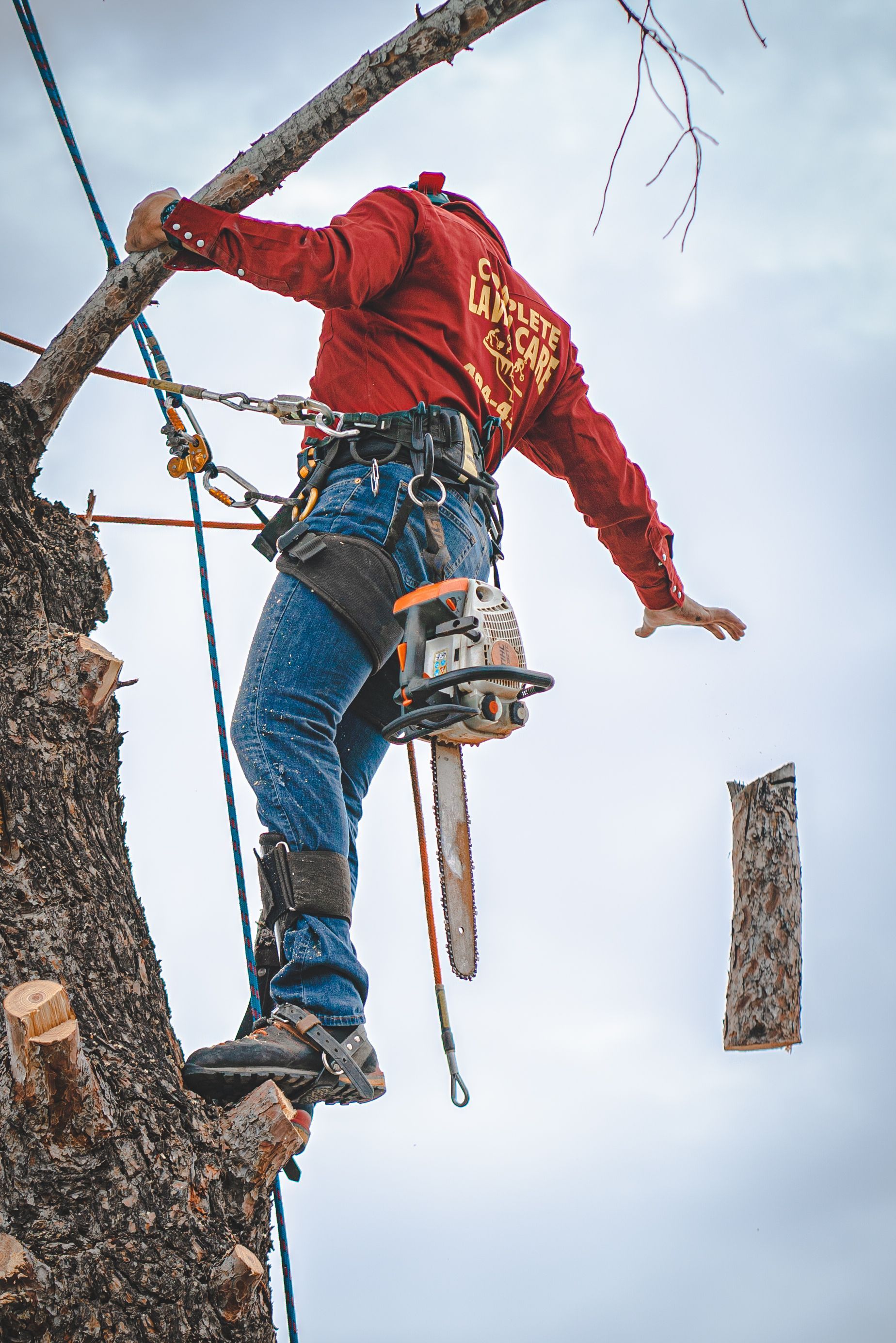 A man is climbing a tree with a chainsaw.