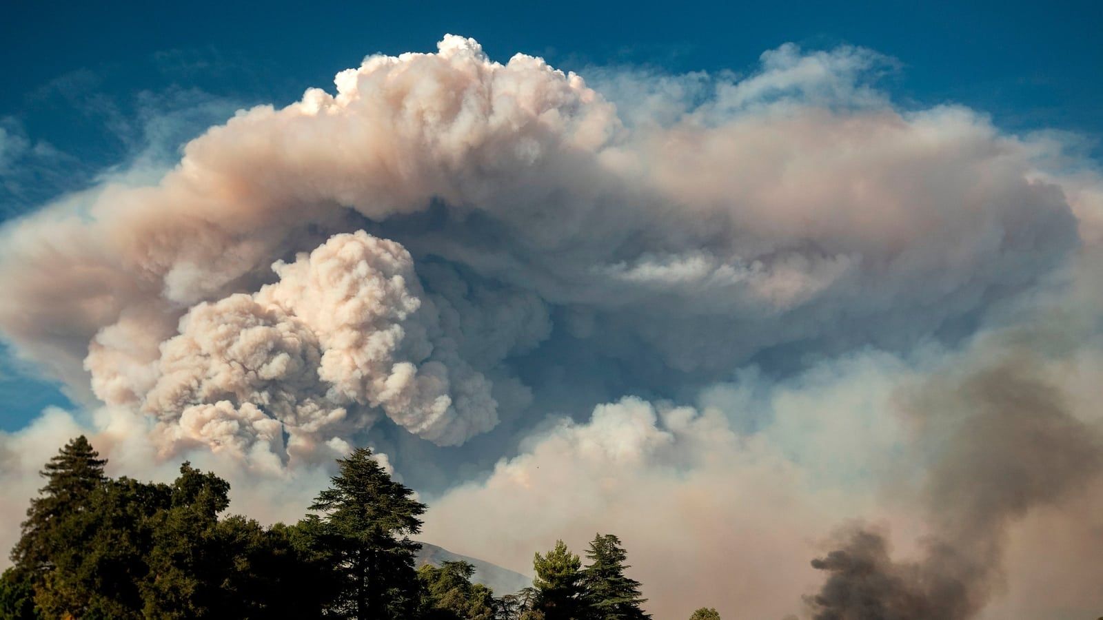 a smoke plume rising from the camp fire in northern California