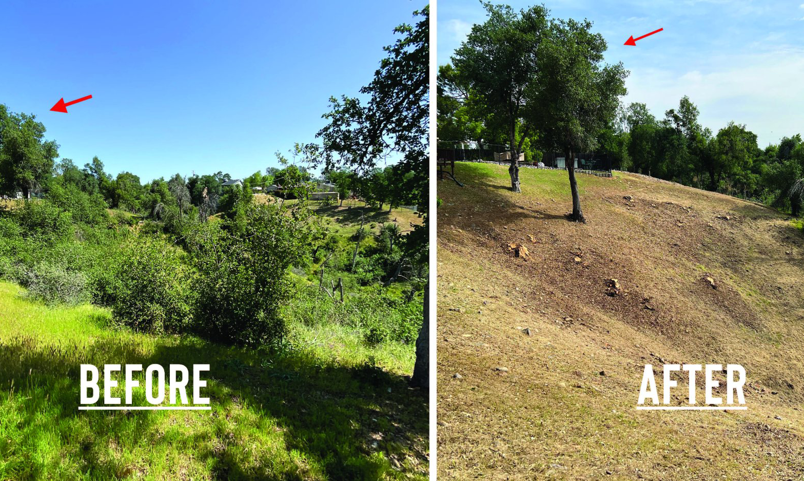 Before and After of defensible space