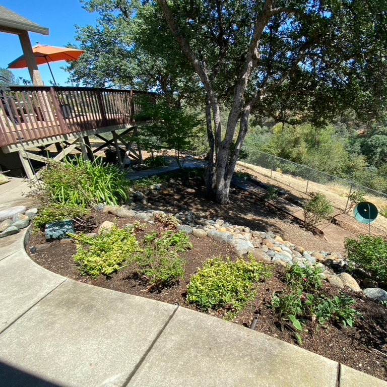 A wooden deck with an orange umbrella sits above a landscaped garden with a tree and lush plants on a sunny day.