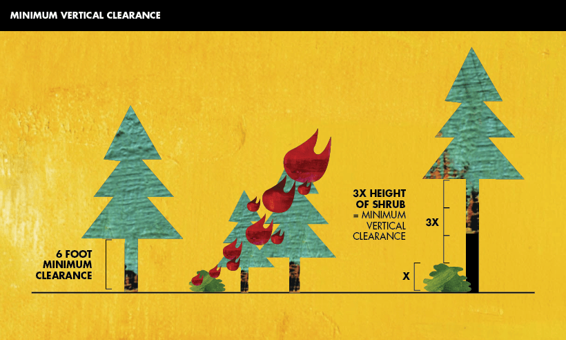 Minimum Vertical Clearance for Defensible Space