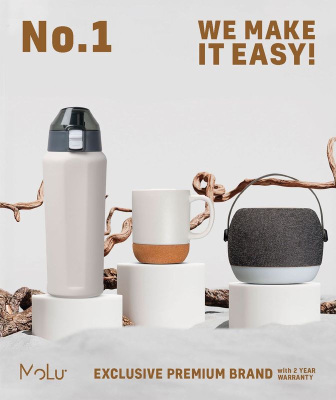 λογότυπο  roly