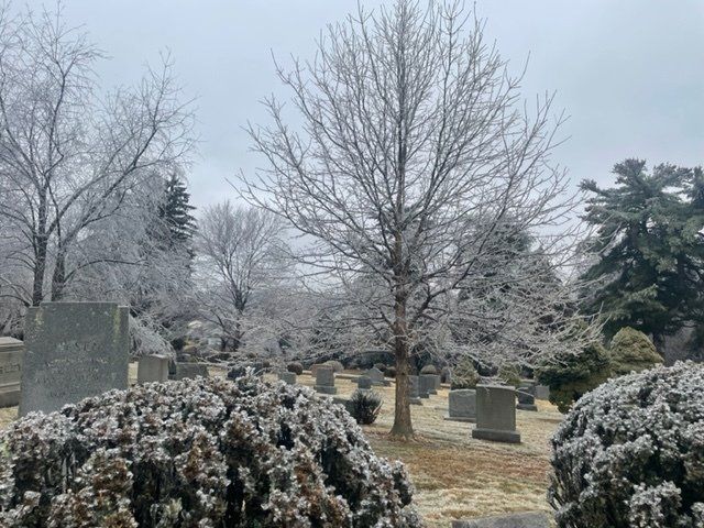 A cemetery with trees and bushes covered in snow