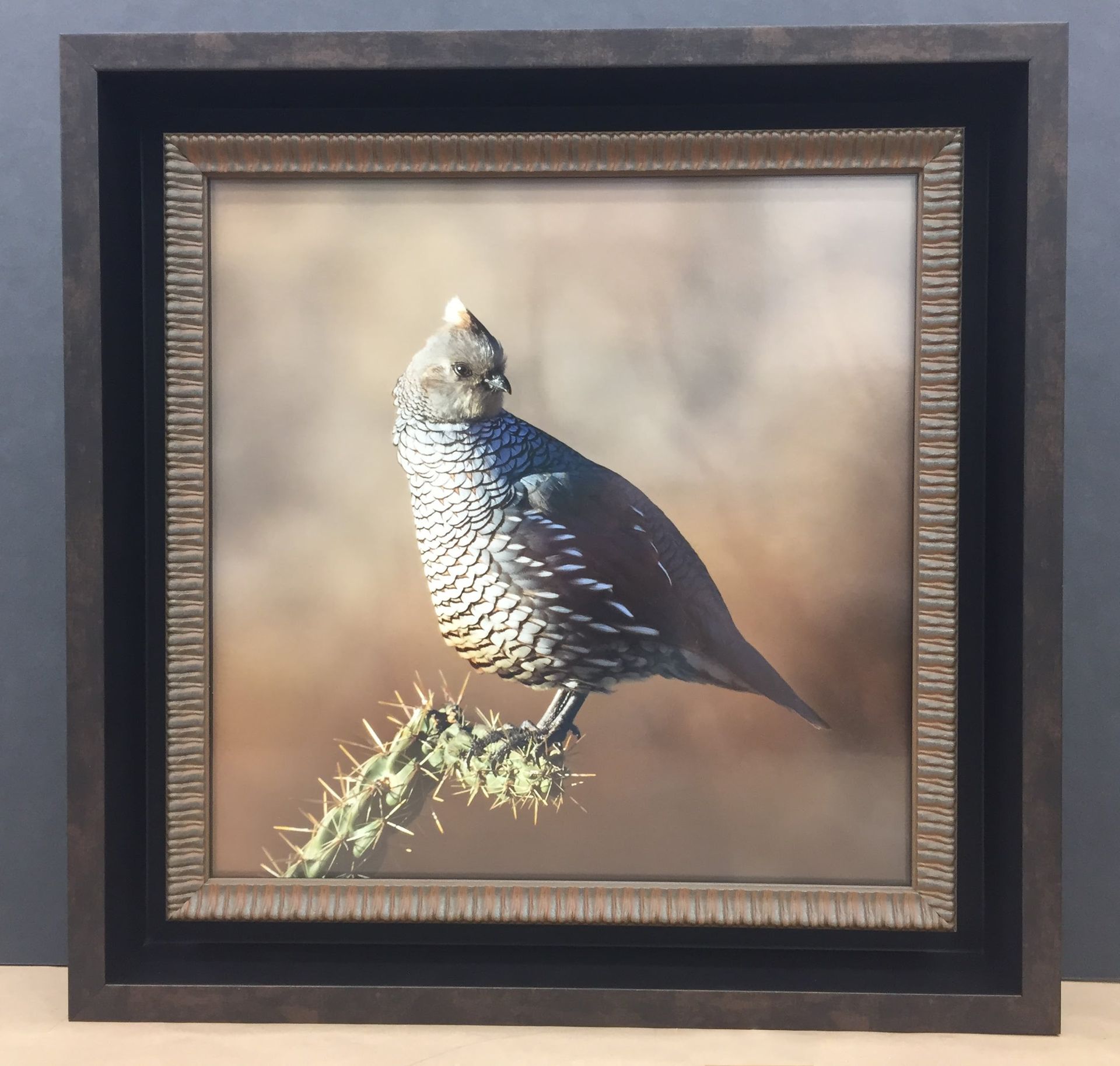Bird perched on cactus, framed. Brown, white, and gray speckled plumage.