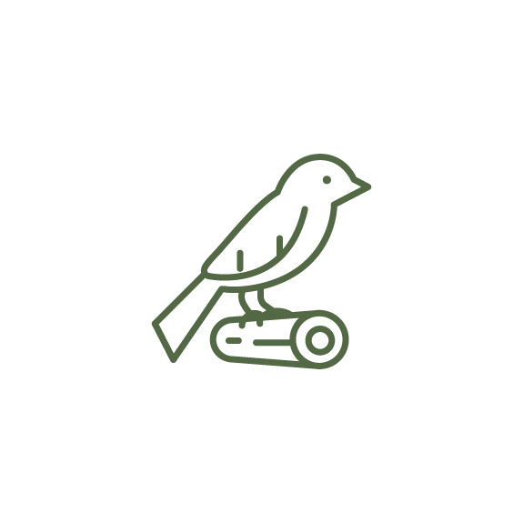 A line drawing of a bird sitting on top of a log.