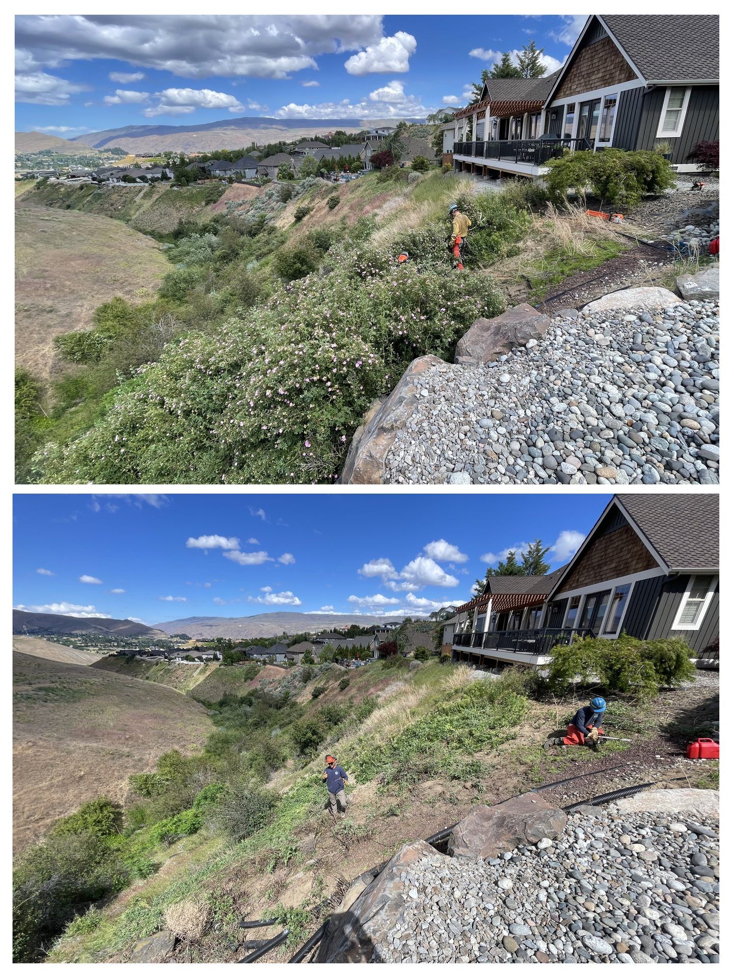 Hilltop house overlooking a sunny valley, with people sitting among wildflowers and rocks.