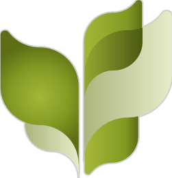 Intergreen Foliage Company Inc.