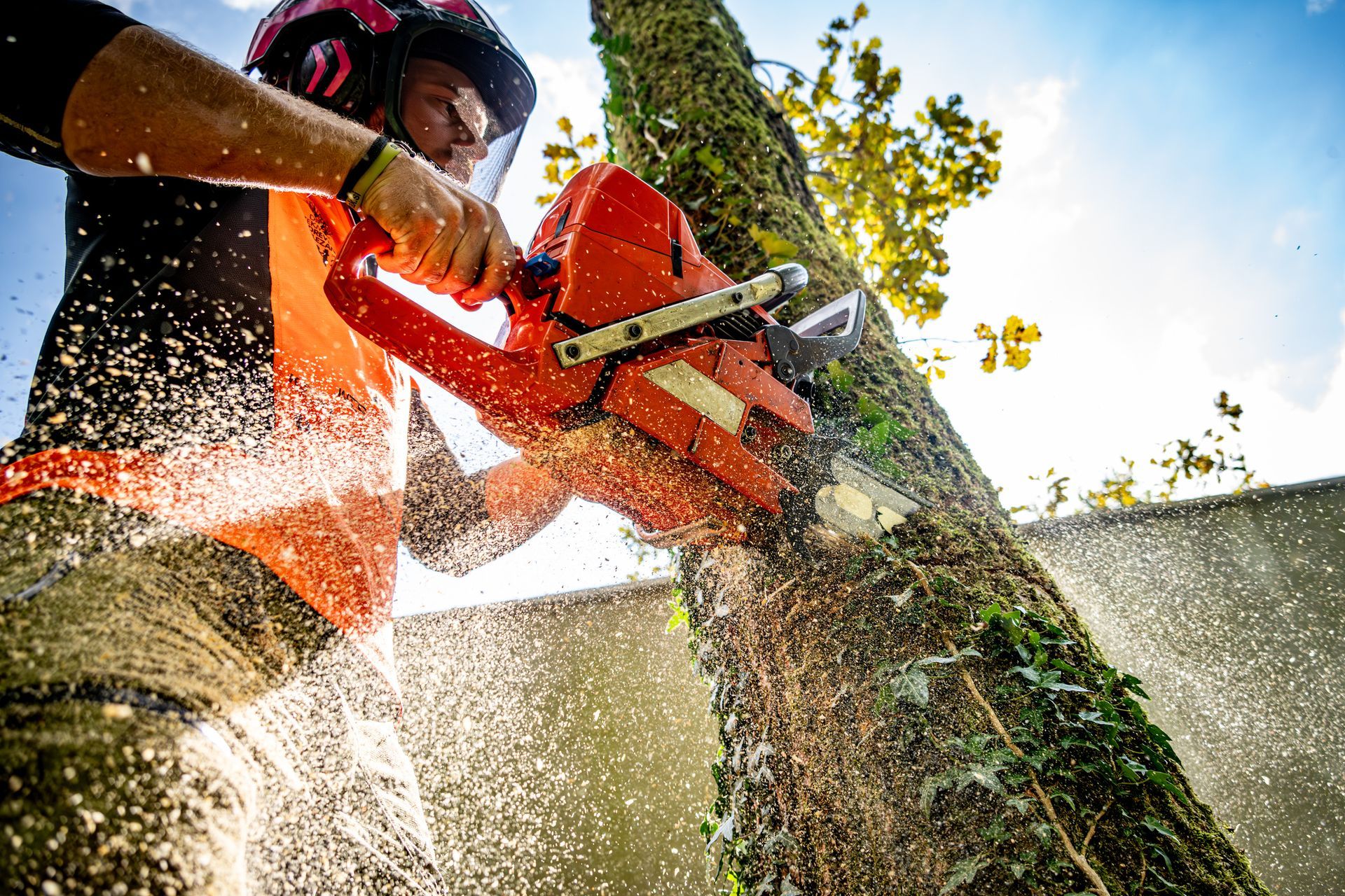 A person wearing safety gear uses a chainsaw to cut a tree trunk, with wood chips flying.