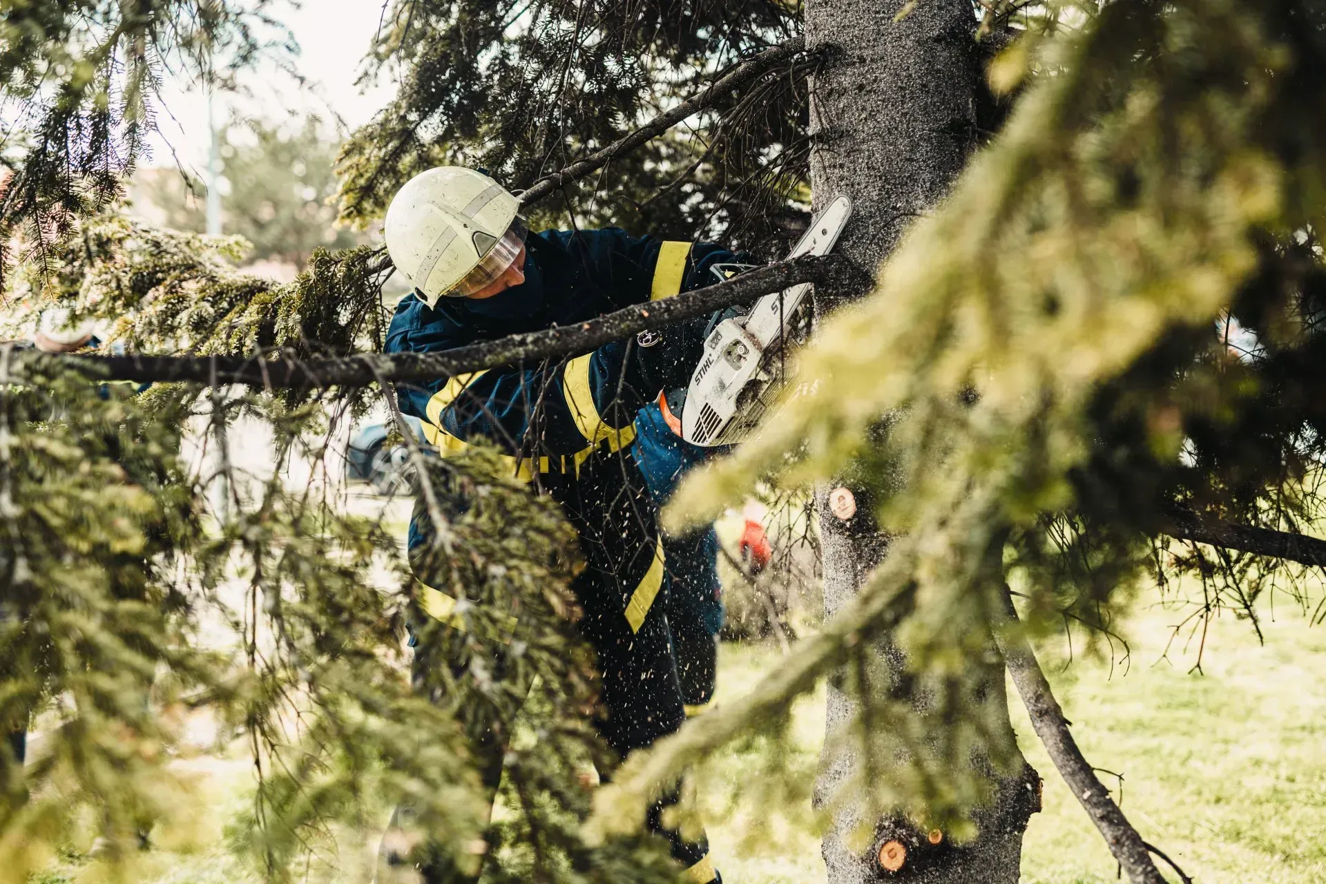 A man is cutting a tree branch with a chainsaw.