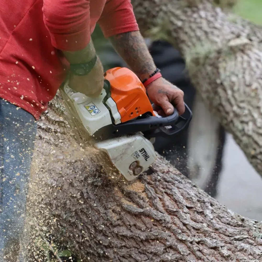 A man is cutting a tree with a stihl chainsaw