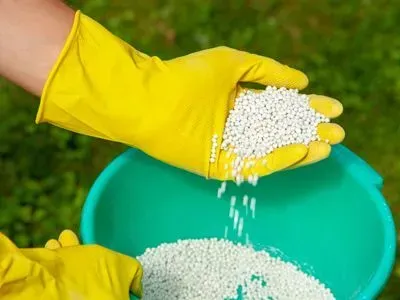 A person wearing yellow gloves is pouring fertilizer into a green bowl.