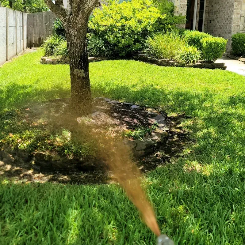 A person is spraying a tree with a hose in a yard.