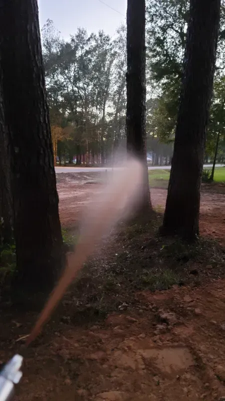 A person is spraying a tree with a hose in the woods.