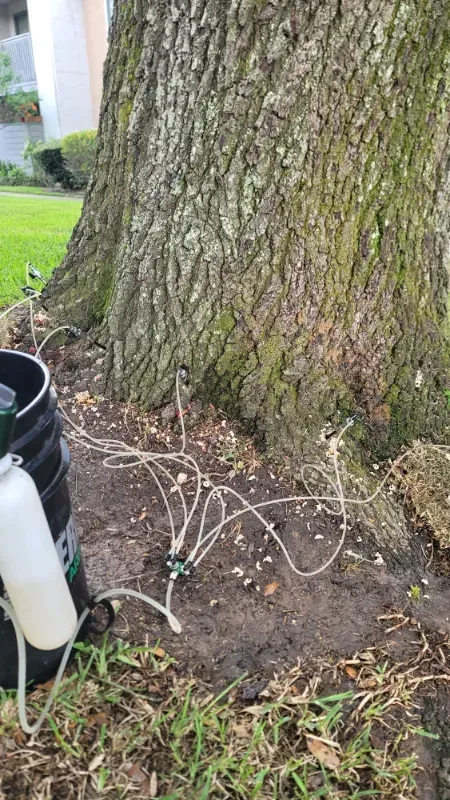 A bucket with a sprayer attached to it is sitting next to a tree.