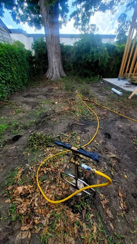 A hose is sitting in the dirt in a backyard next to a tree.