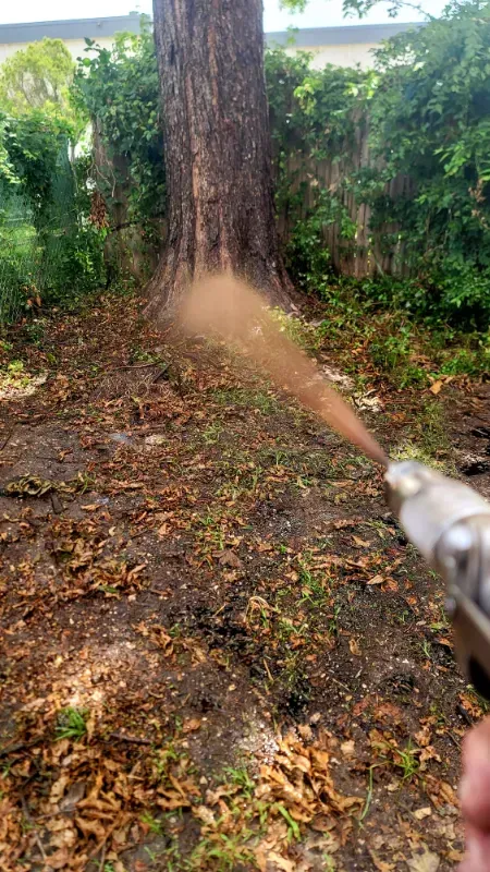 A hose drizzling nutrients on the grass