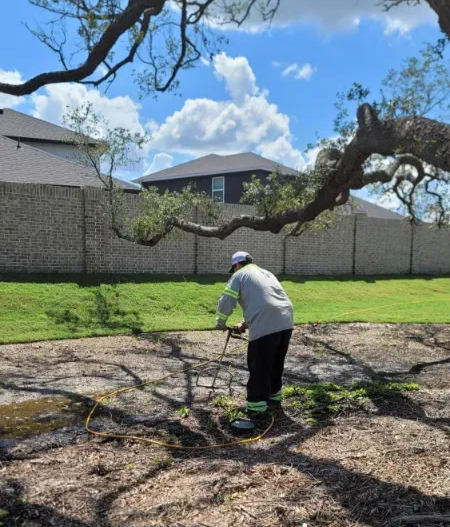 Man doing a pre-construction tree mitigation in Humble TX.