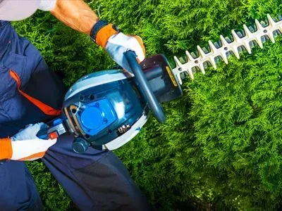 A man is cutting a hedge with a hedge trimmer.