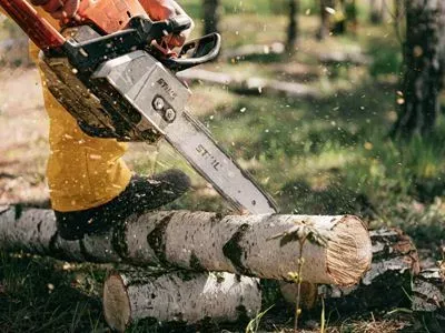 A person is cutting a log with a chainsaw in the woods.