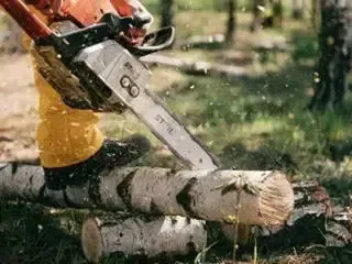 A person is cutting a log with a chainsaw in the woods.