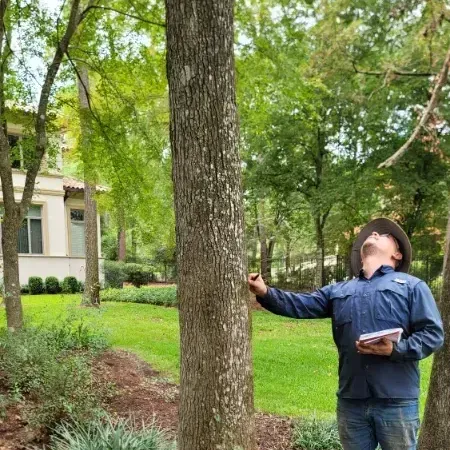 A man is standing next to a tree in a yard.
