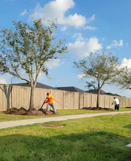 A man is standing next to a tree in a yard.