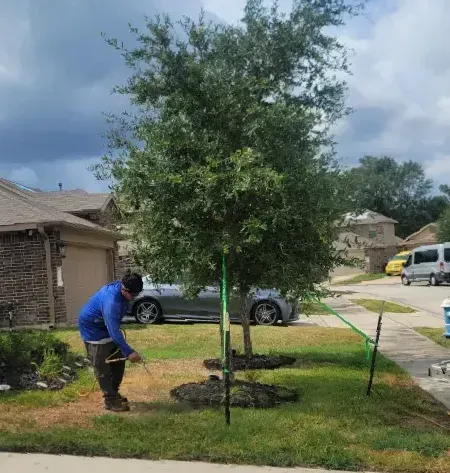 A man is spraying a tree with a green hose