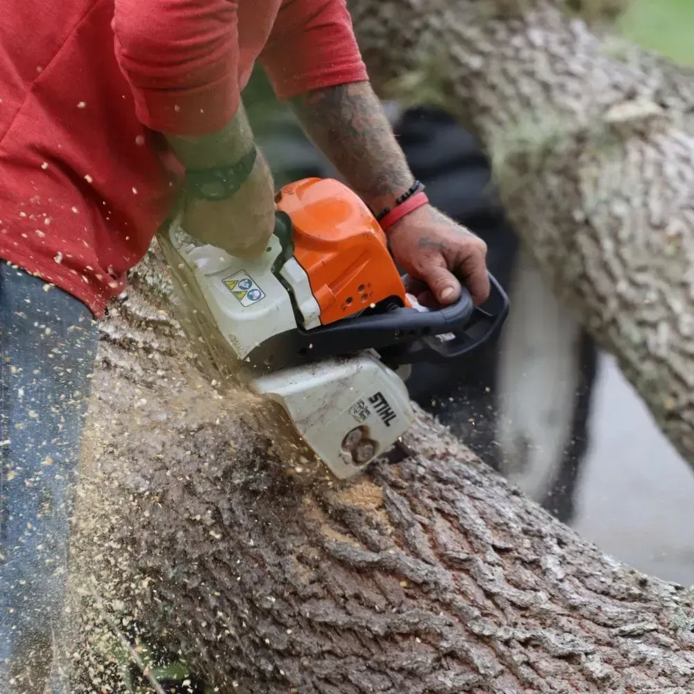 A man is standing next to a tree in a yard.