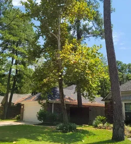 A house with a garage and trees in front of it