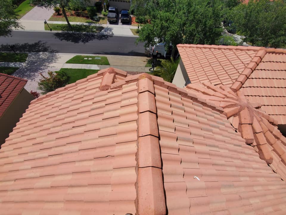 Roof Cleaning