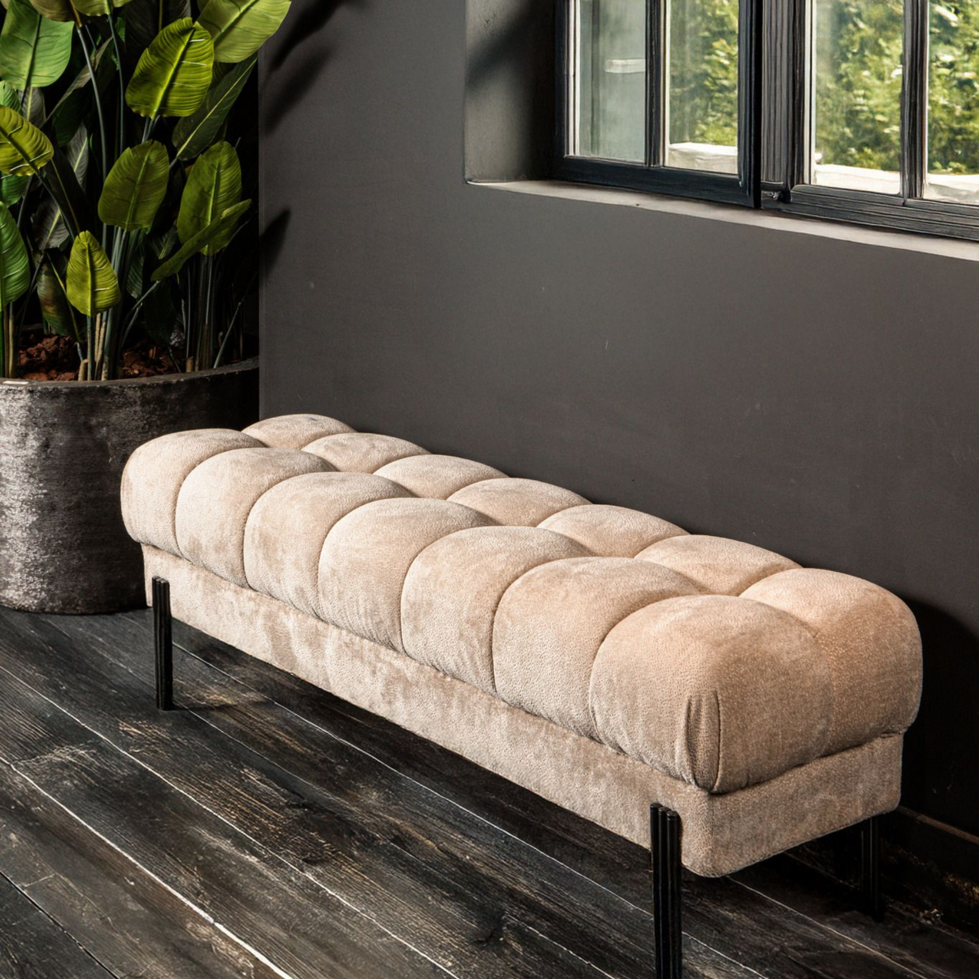 Beige gecapitonneerde bank met zwarte poten naast een donkere muur en een grote plant in een pot.