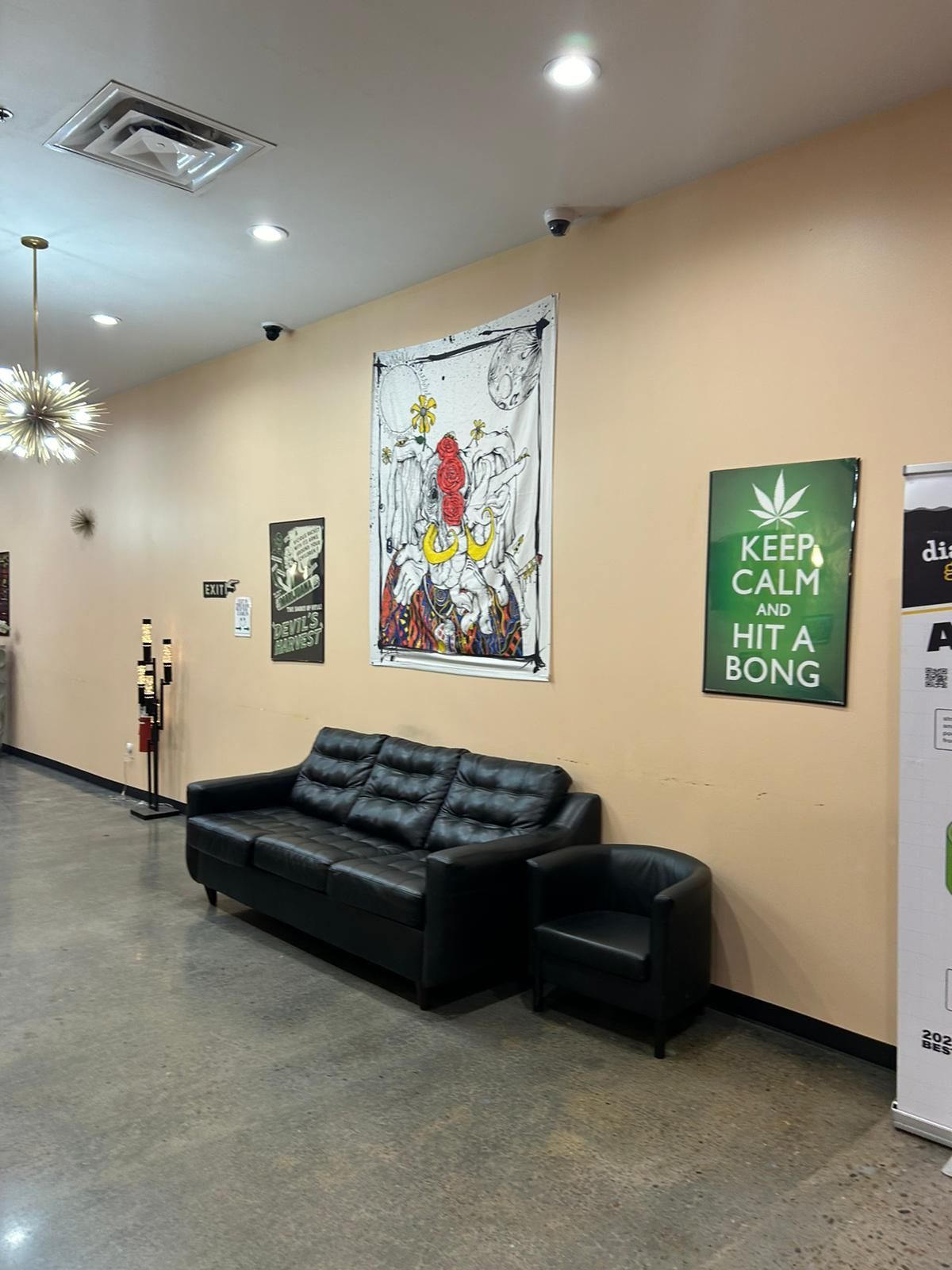 North Denver Urban Marijuana Dispensary | Reefer Madness