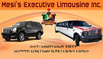 mesi's executive limousine