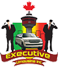 Executive Limousine Inc