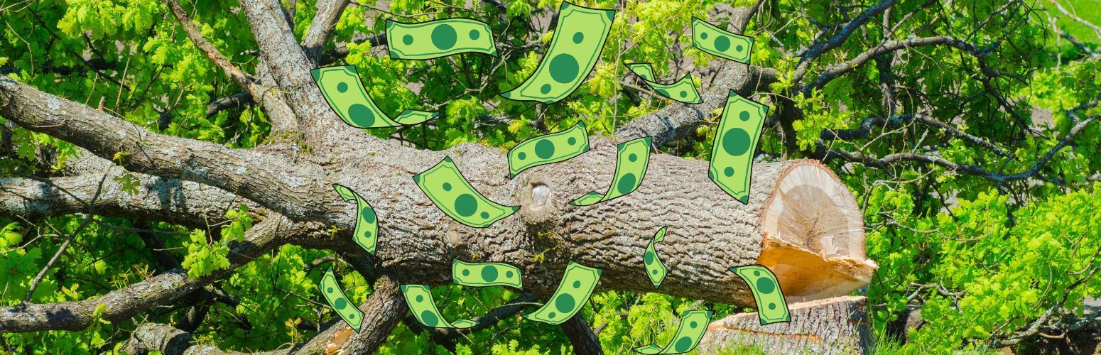 A a fallen tree with dollar bills icon layed over it.